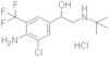 Benzenemethanol, 4-amino-3-chloro-α-[[(1,1-dimethylethyl)amino]methyl]-5-(trifluoromethyl)-, hydro…