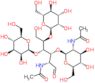 2-(acetylamino)-2-deoxy-beta-D-glucopyranosyl-(1->3)-[alpha-D-mannopyranosyl-(1->5)]-[beta-D-manno…