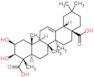 Medicagenic acid