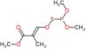 methyl (E)-3-dimethoxyphosphanylsulfanyloxy-2-methyl-prop-2-enoate