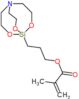 3-(2,8,9-trioxa-5-aza-1-silabicyclo[3.3.3]undec-1-yl)propyl 2-methylprop-2-enoate