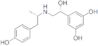 1,3-Benzenediol, 5-[1-hydroxy-2-[[2-(4-hydroxyphenyl)-1-methylethyl]amino]ethyl]-, (R*,S*)-(+-)-