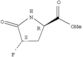 Proline,4-fluoro-5-oxo-, methyl ester, trans- (9CI)