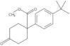 Methyl 1-[4-(1,1-dimethylethyl)phenyl]-4-oxocyclohexanecarboxylate