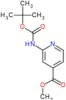 methyl 2-(tert-butoxycarbonylamino)pyridine-4-carboxylate