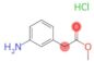 3-Aminophenylacetic acid methyl ester HCl