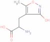 α-Amino-3-hydroxy-5-methylisoxazole-4-propionic acid