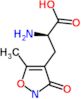 3-(5-methyl-3-oxo-2,3-dihydroisoxazol-4-yl)-D-alanine