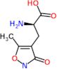 α-Amino-3-hydroxy-5-methylisoxazole-4-propionic acid