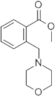 2-MORPHOLIN-4-YLMETHYLBENZOIC ACID METHYL ESTER