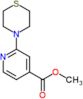 methyl 2-thiomorpholinopyridine-4-carboxylate