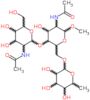 methyl 2-(acetylamino)-2-deoxyhexopyranosyl-(1->4)-[6-deoxyhexopyranosyl-(1->6)]-2-(acetylamino)-2-deoxyhexopyranoside
