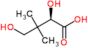 2,4-Dihydroxy-3,3-dimethylbutanoic acid