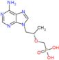({[(2S)-1-(6-amino-9H-purin-9-yl)propan-2-yl]oxy}methyl)phosphonic acid