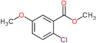 methyl 2-chloro-5-methoxy-benzoate