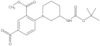 Methyl 2-[3-[[(1,1-dimethylethoxy)carbonyl]amino]-1-piperidinyl]-5-nitrobenzoat