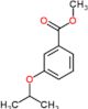 methyl 3-(propan-2-yloxy)benzoate