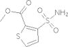 methyl 3-Sulfonyl amino-2-thiophenecarboxylate