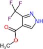 methyl 3-(trifluoromethyl)-1H-pyrazole-4-carboxylate