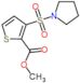 methyl 3-(pyrrolidin-1-ylsulfonyl)thiophene-2-carboxylate