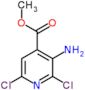 Methyl 3-amino-2,6-dichloro-4-pyridinecarboxylate