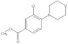 Metile 3-cloro-4-(4-morfolinil)benzoato