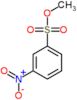 Benzenesulfonic acid, 3-nitro-, methyl ester