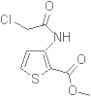 Methyl 3-[(2-chloroacetyl)amino]-2-thiophenecarboxylate