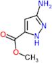 methyl 3-amino-1H-pyrazole-5-carboxylate