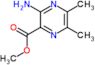 methyl 3-amino-5,6-dimethylpyrazine-2-carboxylate