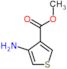 Methyl 3-aminothiophene-4-carboxylate hydrochloride