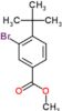 Methyl 3-bromo-4-tert-butylbenzoate