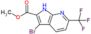 methyl 3-bromo-6-(trifluoromethyl)-1H-pyrrolo[2,3-b]pyridine-2-carboxylate