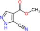 methyl 5-cyano-1H-pyrazole-4-carboxylate
