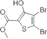 2-Thiophenecarboxylic acid, 4,5-dibromo-3-hydroxy-, methyl ester