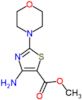 methyl 4-amino-2-morpholin-4-yl-1,3-thiazole-5-carboxylate