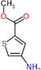 Methyl 4-amino-2-thiophenecarboxylate