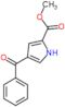 methyl 4-(cyclohexylcarbonyl)-1H-pyrrole-2-carboxylate