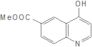 4-Hydroxyquinoline-6-carboxylicacidmethylester