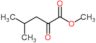 methyl 4-methyl-2-oxopentanoate