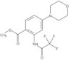 Methyl 4-(4-morpholinyl)-2-[(2,2,2-trifluoroacetyl)amino]benzoate