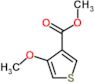 methyl 4-methoxythiophene-3-carboxylate