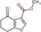 methyl 4-oxo-4,5,6,7-tetrahydro-1-benzofuran-3-carboxylate