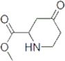 2-Piperidinecarboxylicacid,4-oxo-,methylester(9CI)