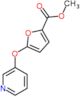 methyl 5-(pyridin-3-yloxy)furan-2-carboxylate