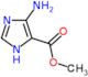 methyl 4-amino-1H-imidazole-5-carboxylate