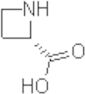 Acide (-)-azétidinecarboxylique