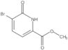 Methyl 5-bromo-1,6-dihydro-6-oxo-2-pyridinecarboxylate