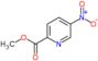 methyl 5-nitropyridine-2-carboxylate