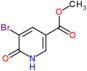 methyl 5-bromo-6-oxo-1,6-dihydropyridine-3-carboxylate